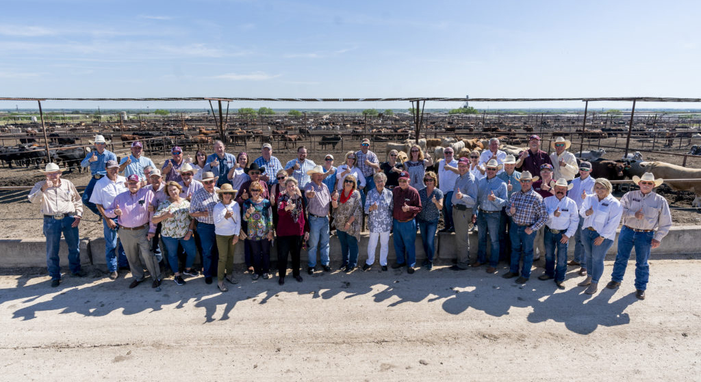 College of Agriculture Development Council members standing in rows in front of cattle