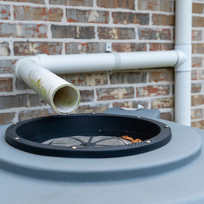 A downspout leading to a rain collection barrel