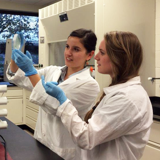 Two researchers in white coats and gloves examining a petri dish