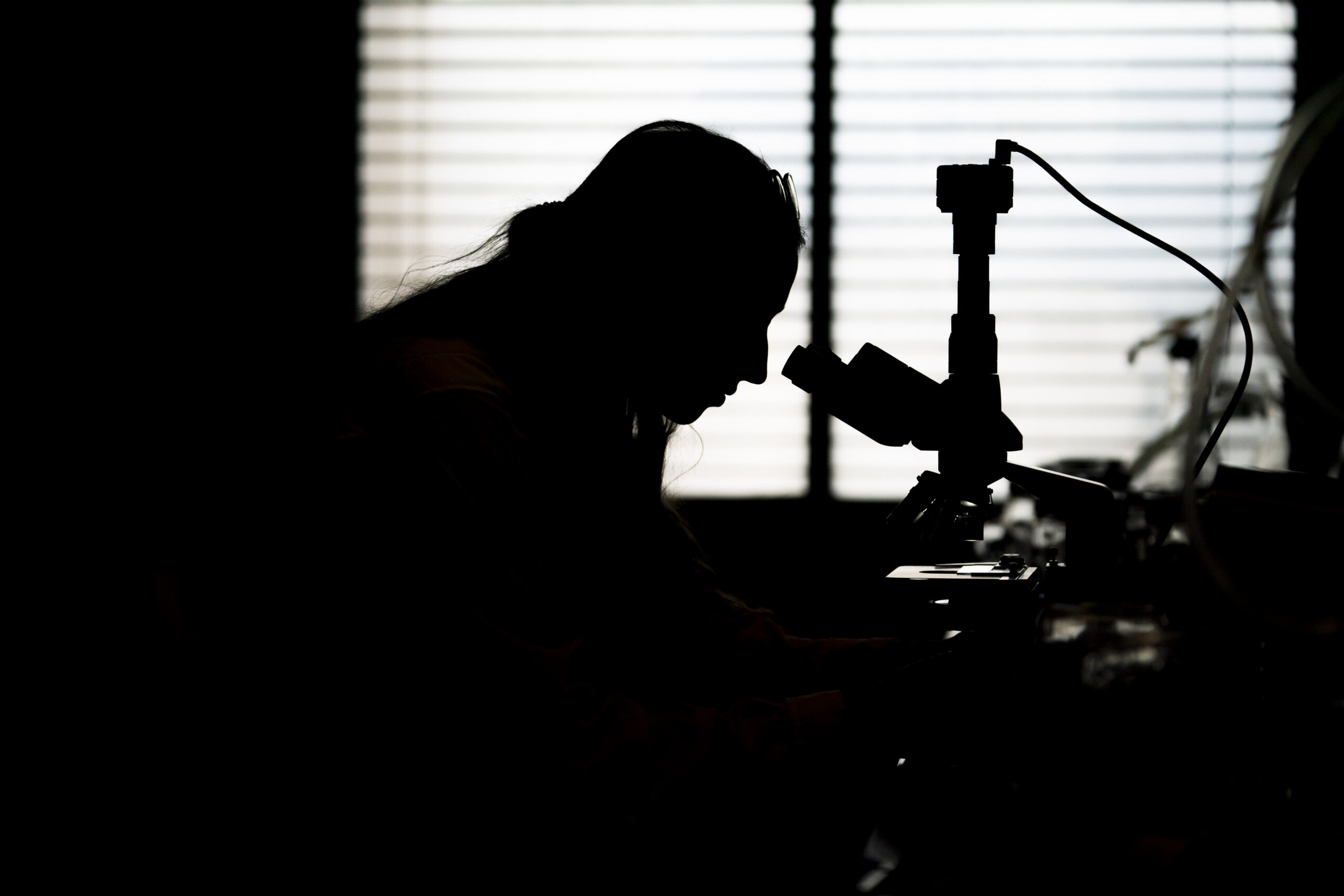 backlit person looking through microscope
