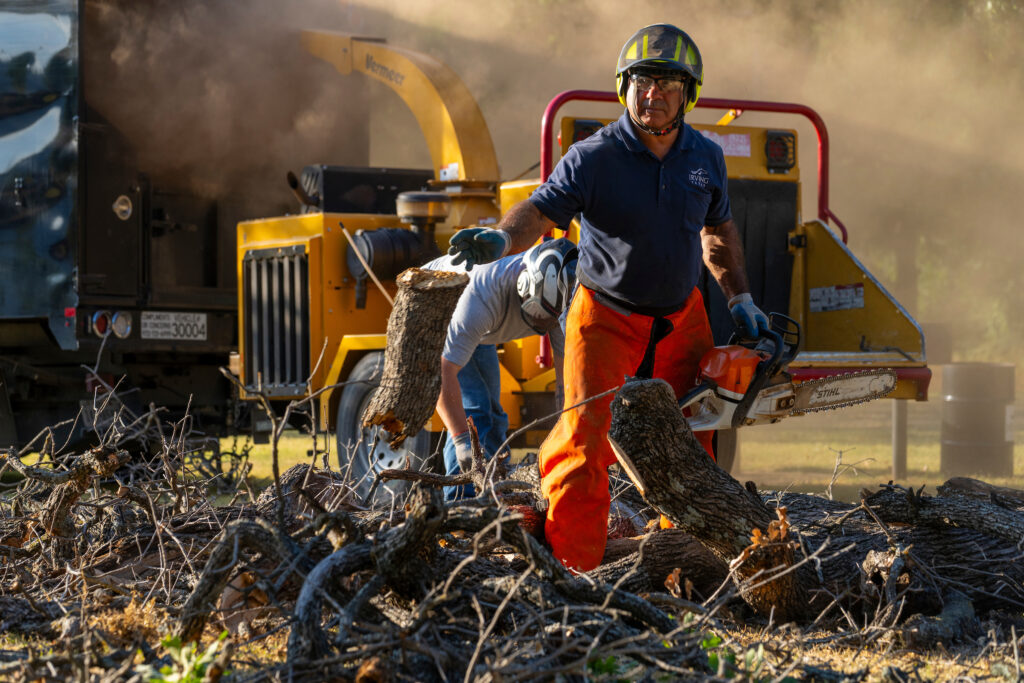 Man wearing protective gear and cutting trees using equipment.