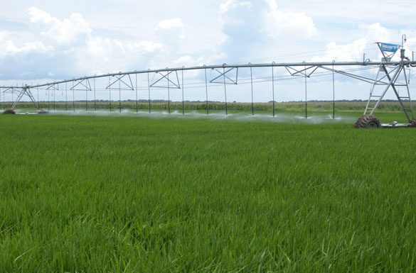 Agricultural Irrigation